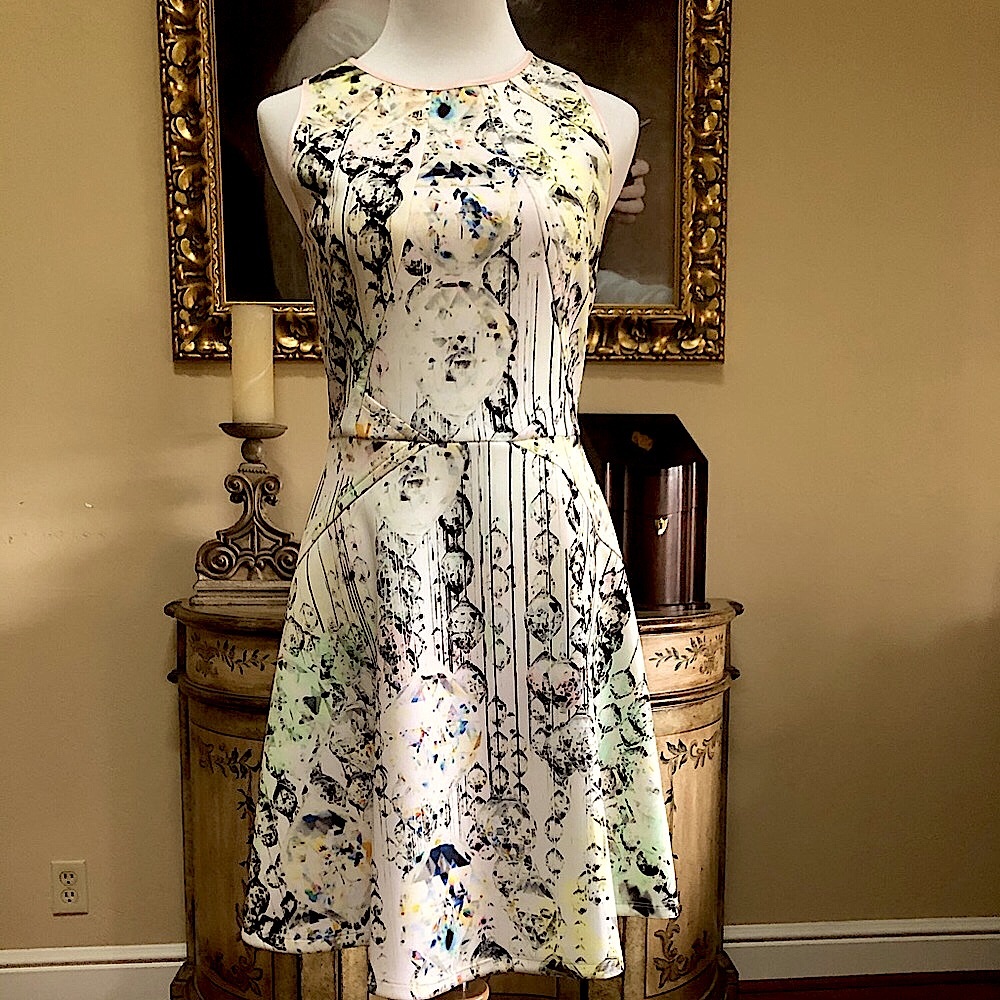 Ted Baker fit and flair dress